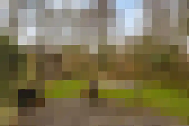 Ludekenskamp 27 Zwolle thumbnail 30