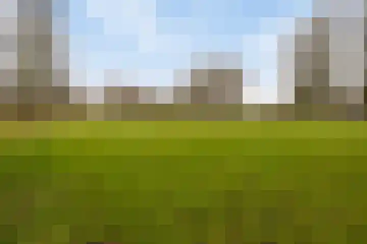 Ludekenskamp 27 Zwolle thumbnail 33