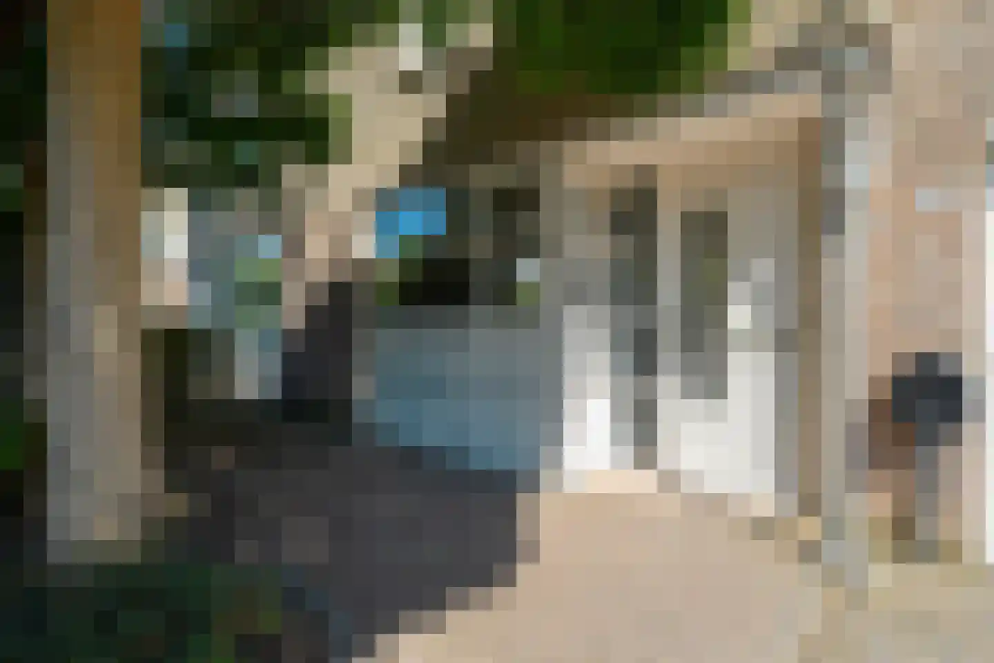 Ludemaborg 47 Groningen thumbnail 12