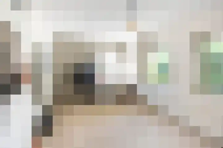 Ludemaborg 47 Groningen thumbnail 25