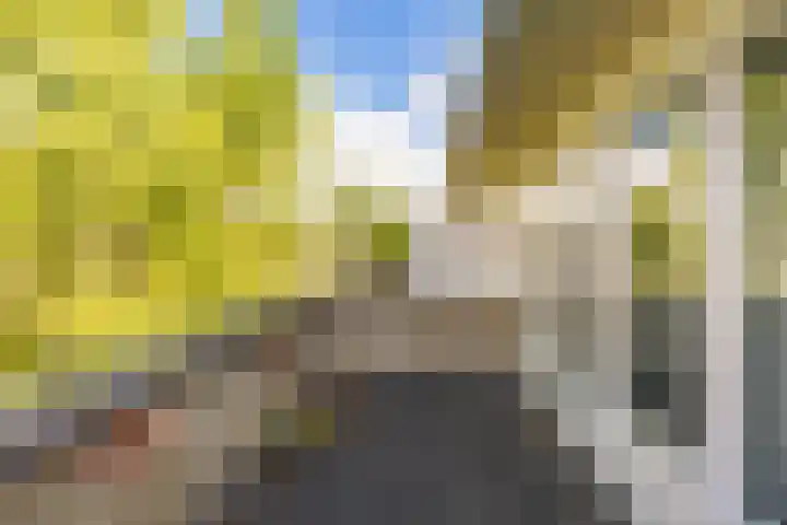 Ludemaborg 47 Groningen thumbnail 31