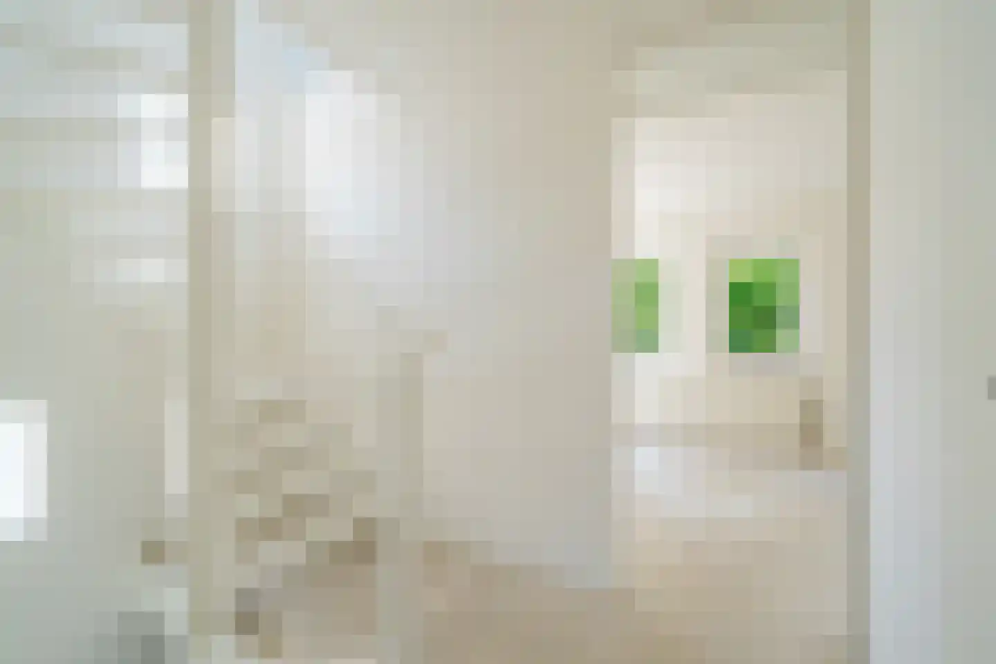 Ludemaborg 47 Groningen thumbnail 35