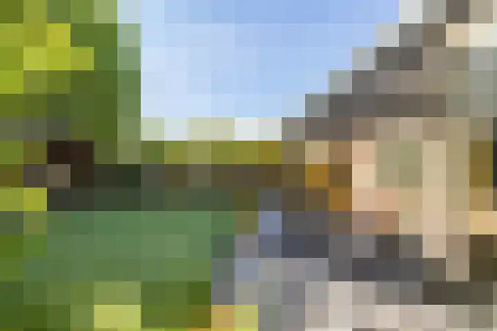 Ludemaborg 47 Groningen thumbnail 36