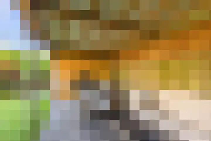 Ludemaborg 47 Groningen thumbnail 38