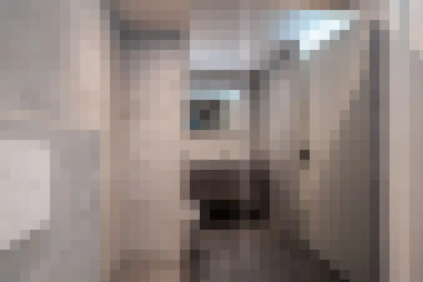 Ludemaborg 47 Groningen thumbnail 4
