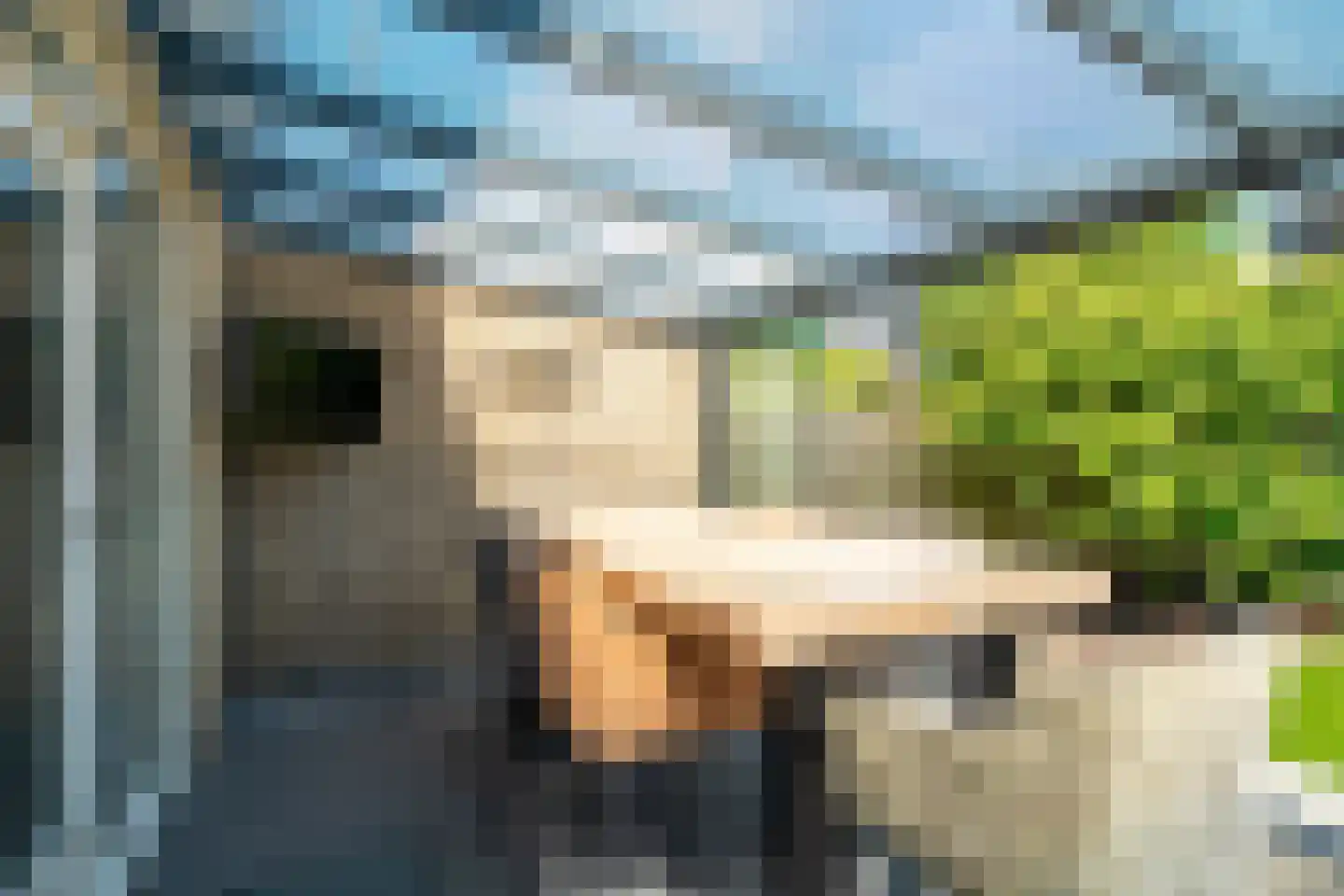Ludemaborg 47 Groningen thumbnail 60
