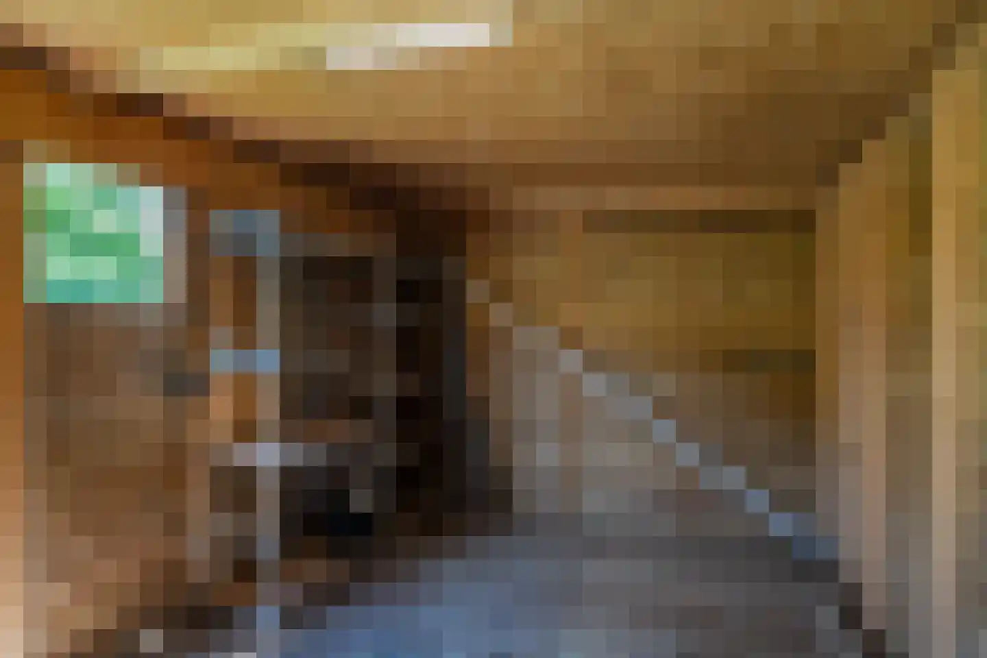 Ludemaborg 47 Groningen thumbnail 66