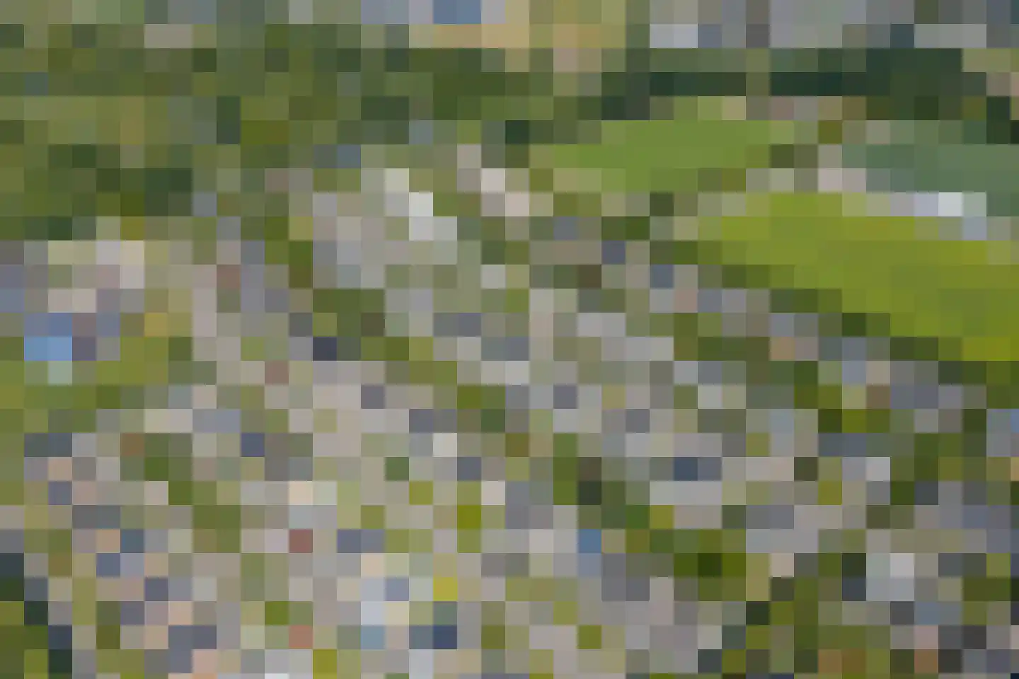 Ludemaborg 47 Groningen thumbnail 73
