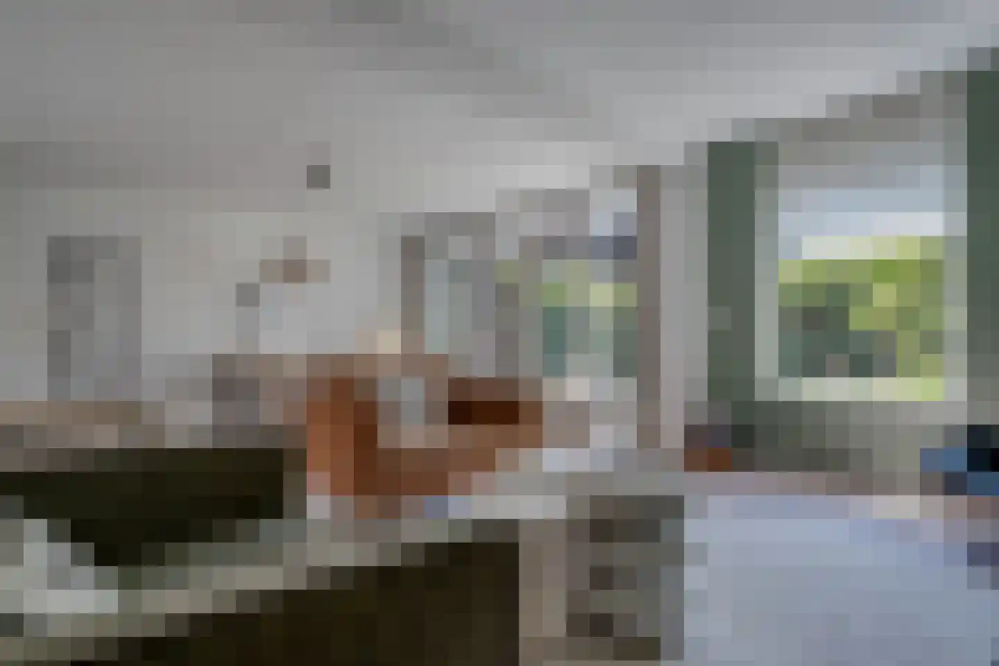 Ludemaborg 50 Groningen thumbnail 10