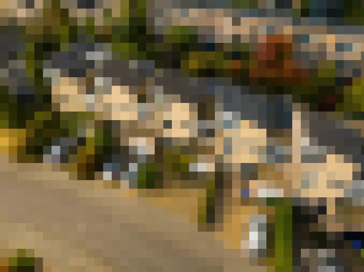 Ludemaborg 50 Groningen thumbnail 44