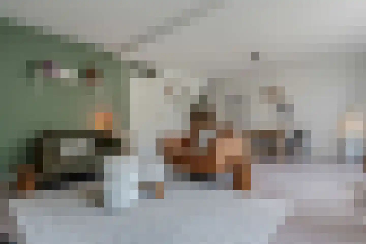 Ludemaborg 50 Groningen thumbnail 9
