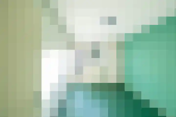 Ludemaborg 59 Groningen thumbnail 15