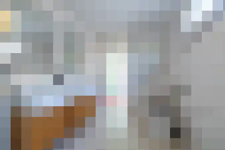 Ludemaborg 59 Groningen thumbnail 18