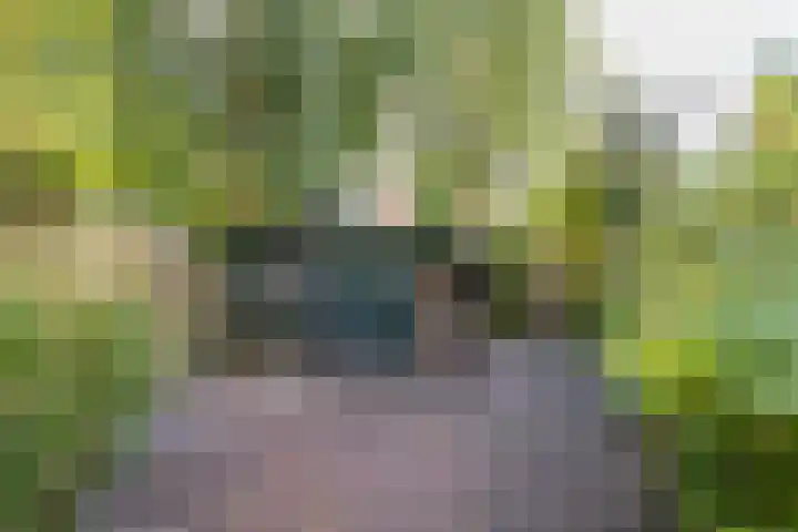Ludemaborg 59 Groningen thumbnail 26