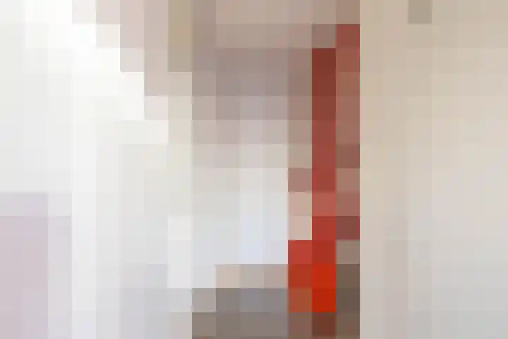 Ludemaborg 59 Groningen thumbnail 4