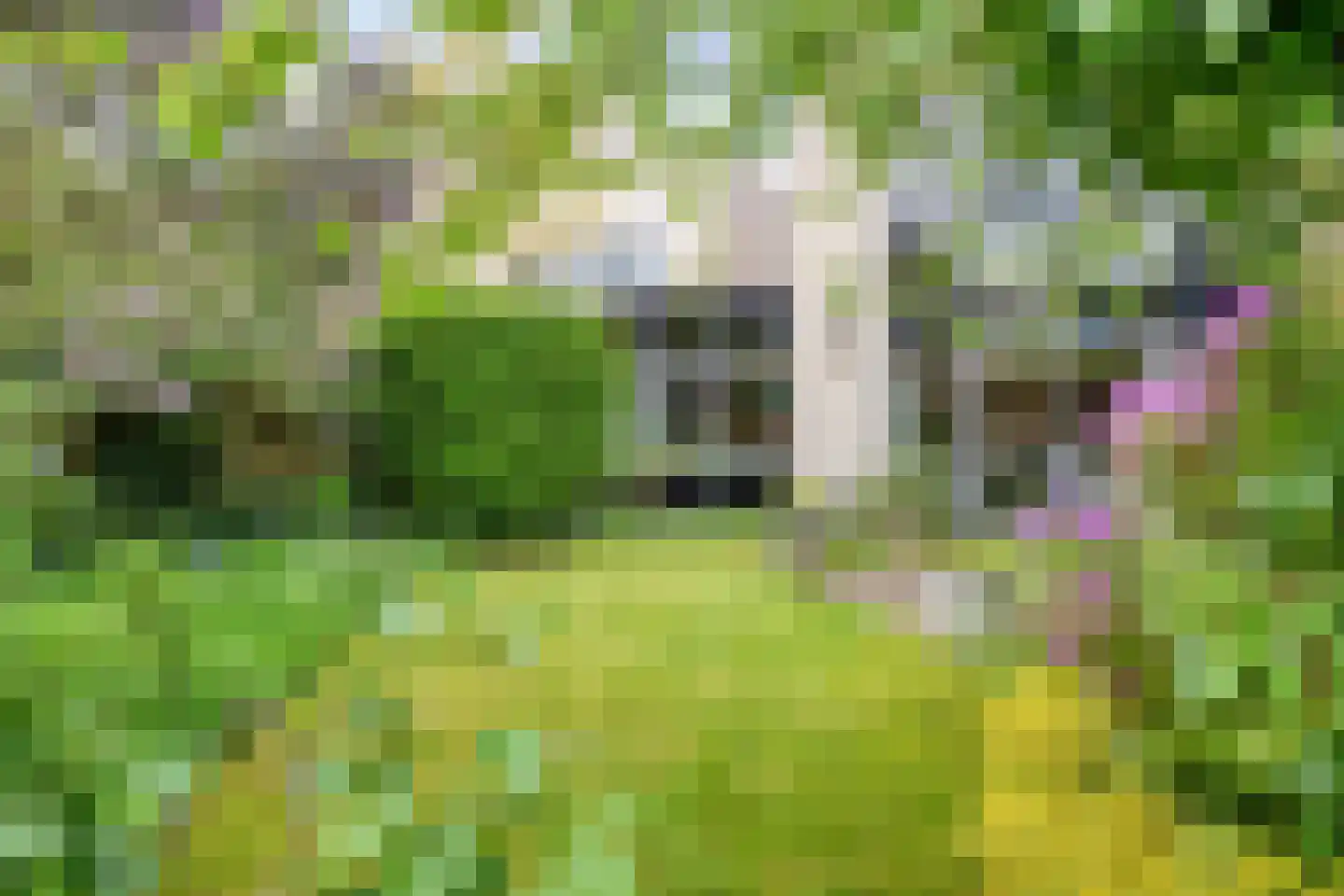 Ludemaborg 63 Groningen thumbnail 14