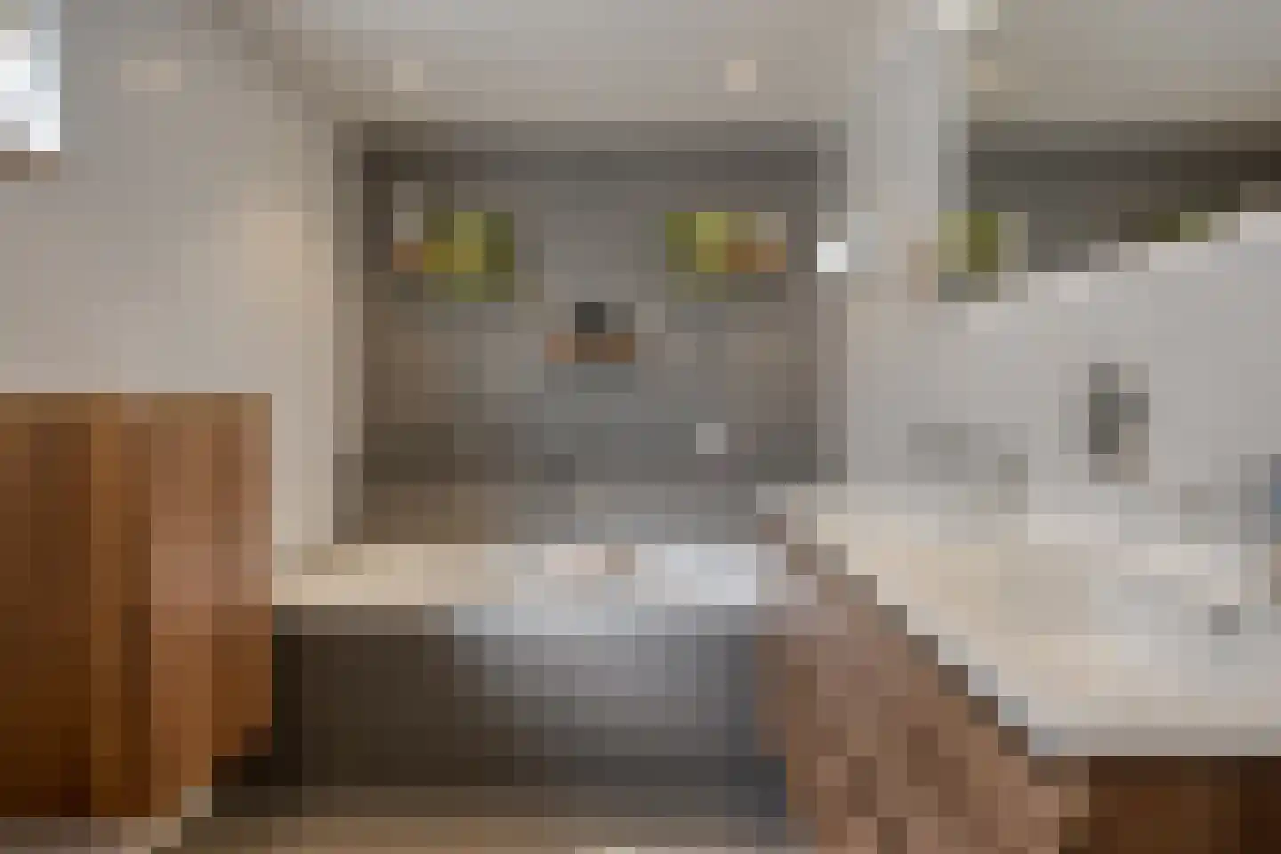 Ludemaborg 63 Groningen thumbnail 27