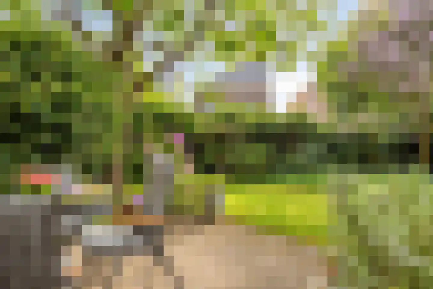 Ludemaborg 63 Groningen thumbnail 38
