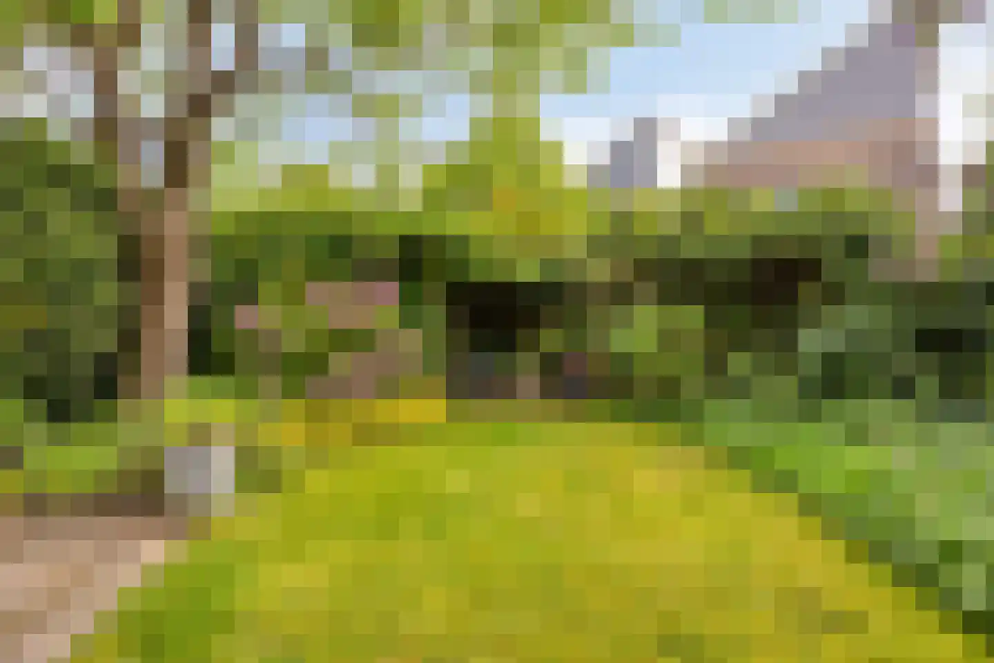 Ludemaborg 63 Groningen thumbnail 39