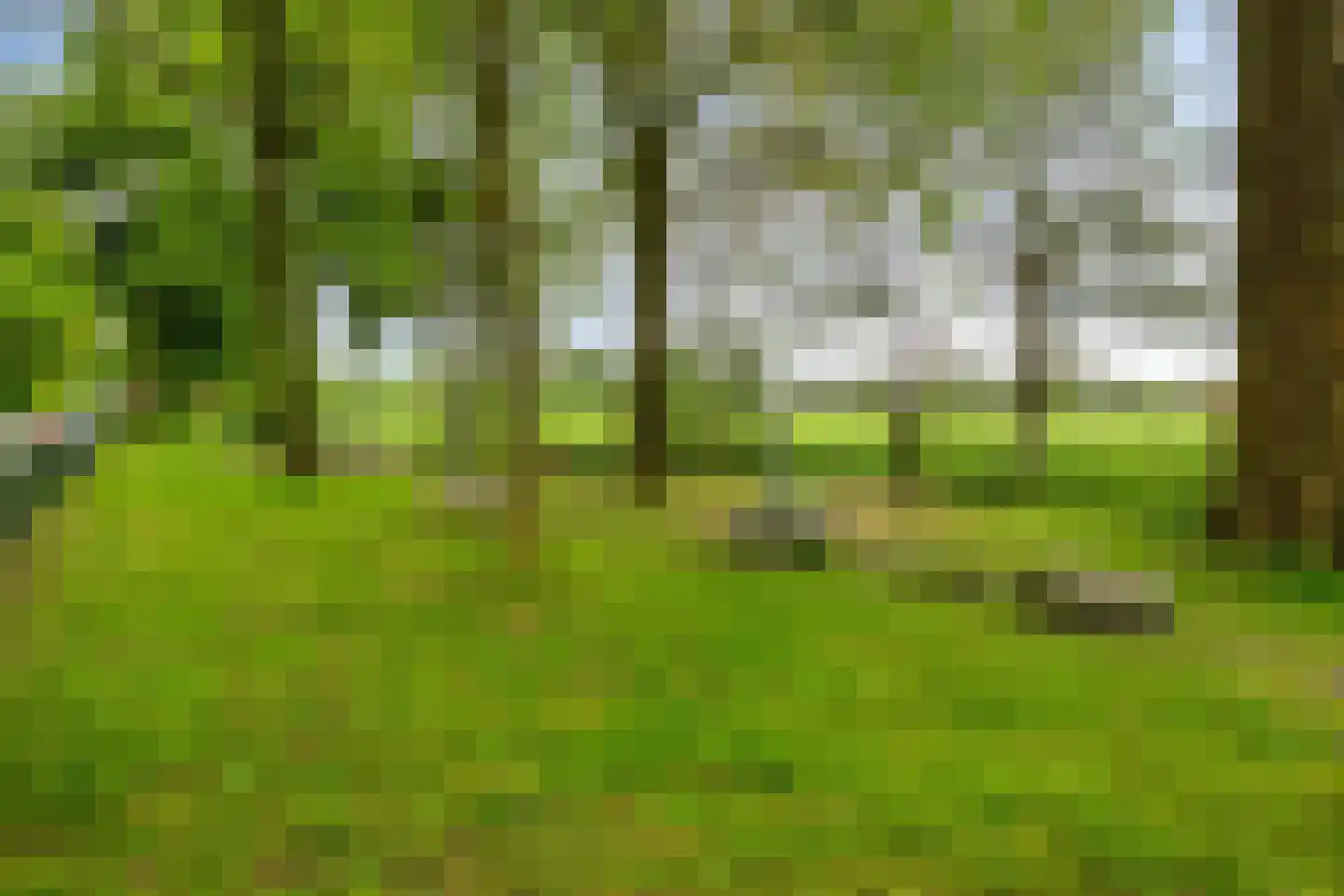 Ludemaborg 63 Groningen thumbnail 42