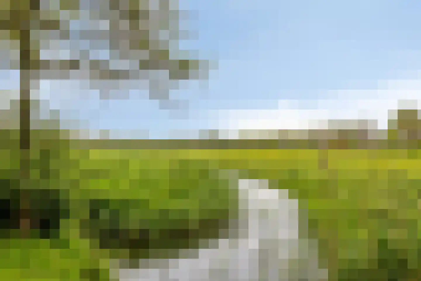 Ludemaborg 63 Groningen thumbnail 43