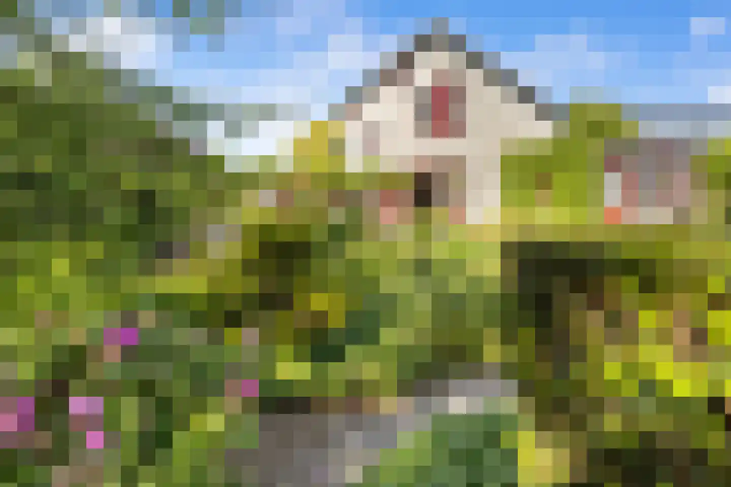 Ludenbos 30 Almere thumbnail 35