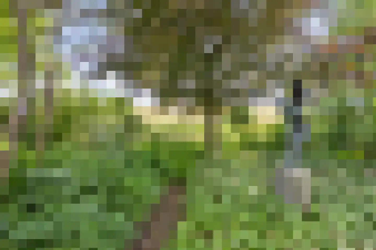 Ludenbos 30 Almere thumbnail 40
