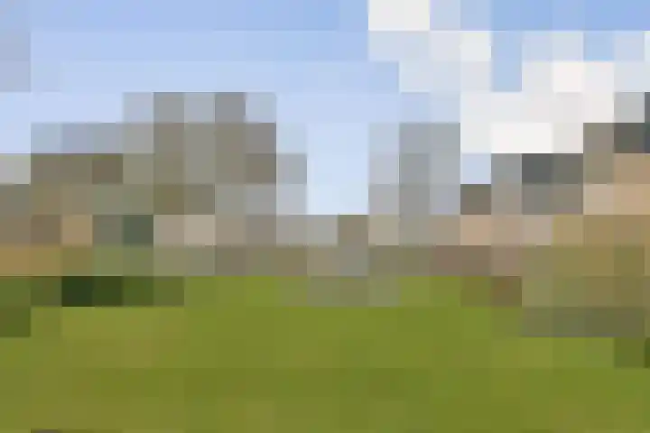 Ludenhorst 26 Rotterdam thumbnail 30