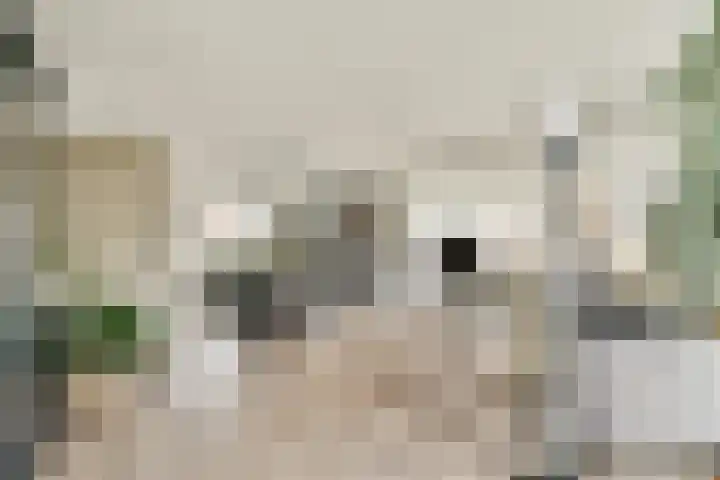 Ludenhorst 26 Rotterdam thumbnail 5