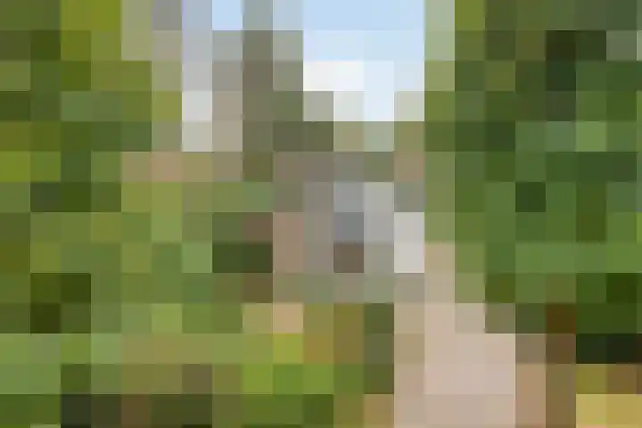 Ludenlaan 4 in Doorn