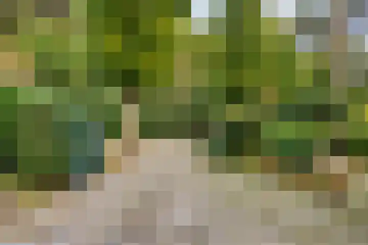 Ludenlaan 4 Doorn thumbnail 11