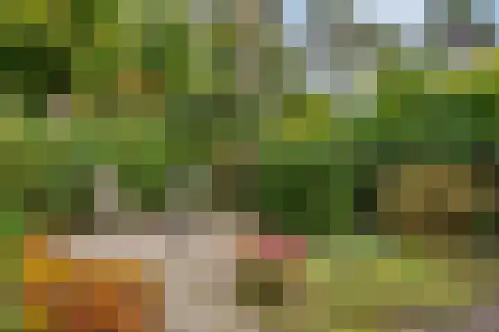 Ludenlaan 4 Doorn thumbnail 12