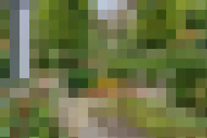 Ludenlaan 4 Doorn thumbnail 13
