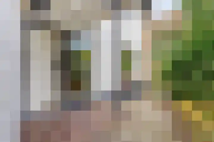 Ludenlaan 4 Doorn thumbnail 15