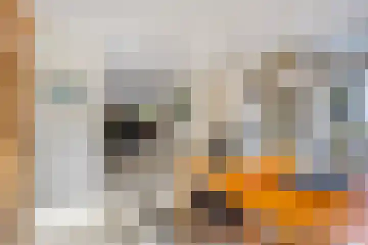 Ludenlaan 4 Doorn thumbnail 30