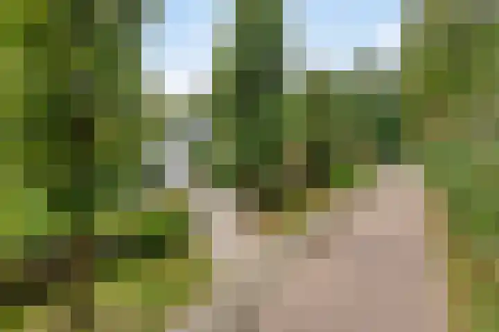 Ludenlaan 4 Doorn thumbnail 4