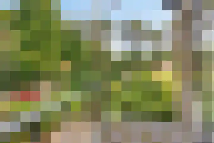 Ludenlaan 4 Doorn thumbnail 44