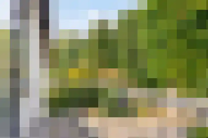 Ludenlaan 4 Doorn thumbnail 45