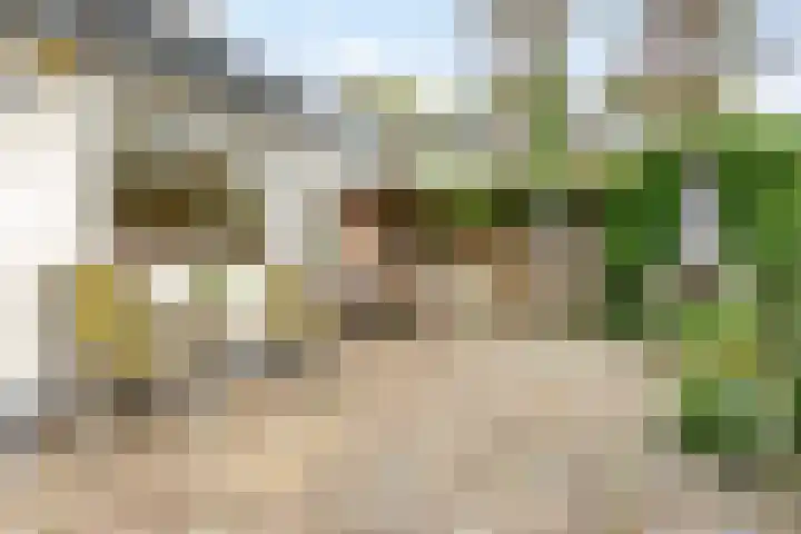 Ludenlaan 4 Doorn thumbnail 52