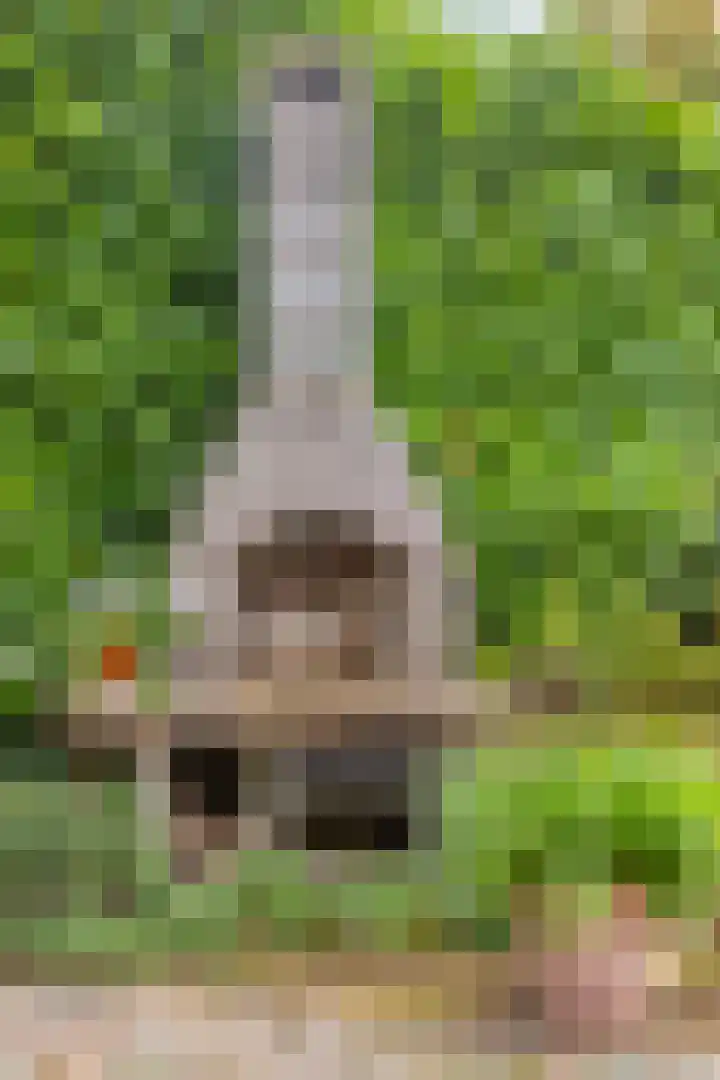 Ludenlaan 4 Doorn thumbnail 55