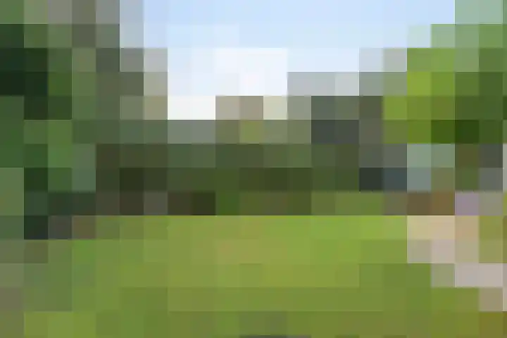 Ludenlaan 4 Doorn thumbnail 56