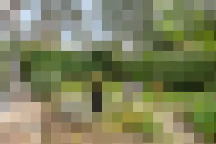 Ludenlaan 4 Doorn thumbnail 57