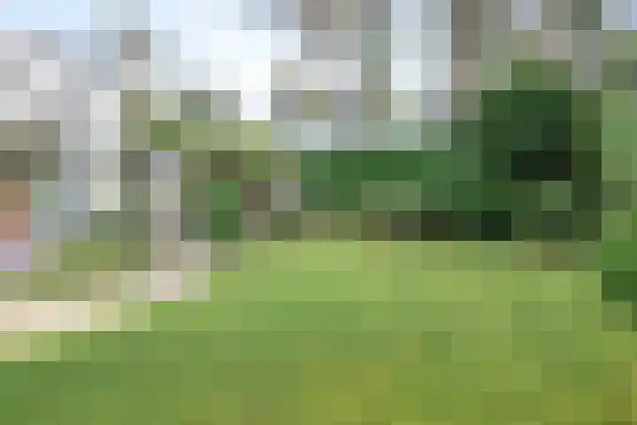 Ludenlaan 4 Doorn thumbnail 58