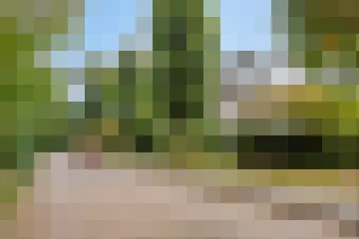 Ludenlaan 4 Doorn thumbnail 6