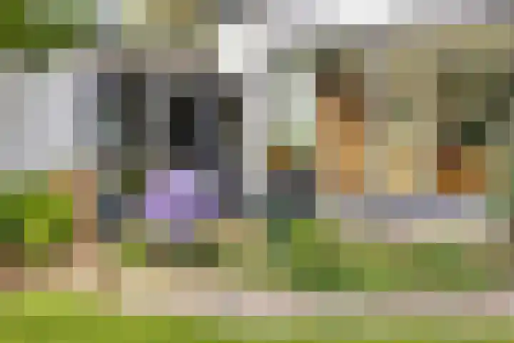Ludenlaan 4 Doorn thumbnail 61
