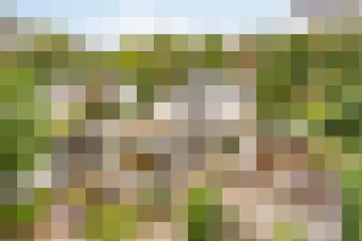 Ludenlaan 4 Doorn thumbnail 63