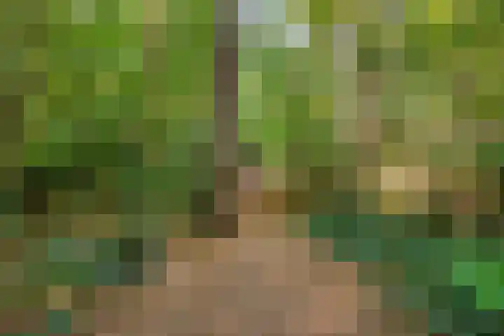 Ludenlaan 4 Doorn thumbnail 64