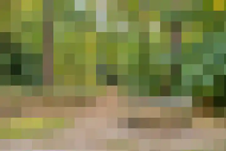 Ludenlaan 4 Doorn thumbnail 65