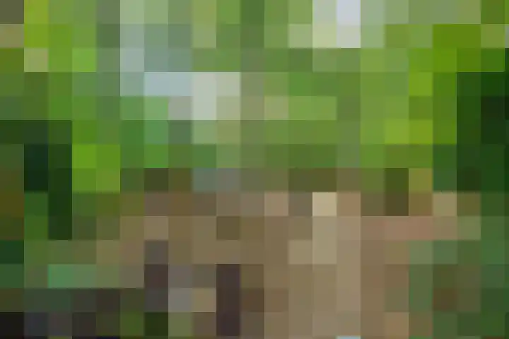Ludenlaan 4 Doorn thumbnail 66