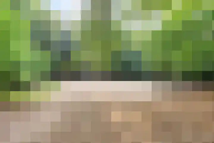 Ludenlaan 4 Doorn thumbnail 67